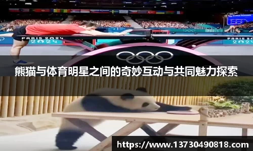 半岛·BOB官方网站