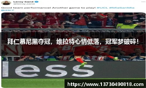 BoB半岛·体育中国官方网站