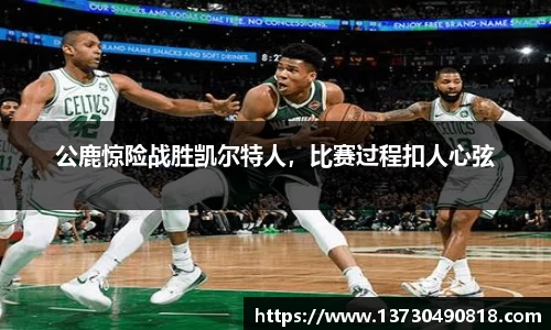 半岛bob·官方