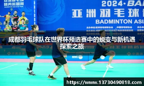 BoB半岛·体育中国官方网站