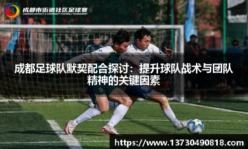 BoB半岛·体育中国官方网站