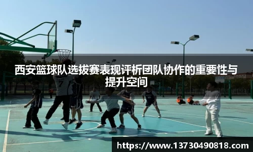 半岛bob·官方