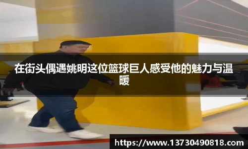 半岛bob·官方网站