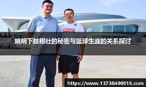 BoB半岛·体育中国官方网站