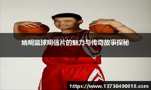 半岛·BOB官方网站