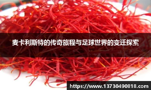 BoB半岛·体育中国官方网站
