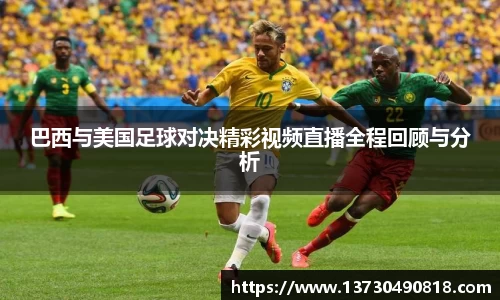 BoB半岛·体育中国官方网站