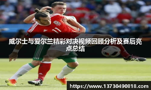 威尔士与爱尔兰精彩对决视频回顾分析及赛后亮点总结