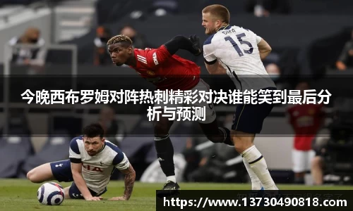 BoB半岛·体育中国官方网站