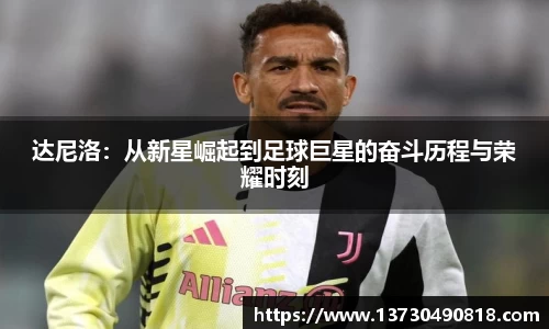 BoB半岛·体育中国官方网站